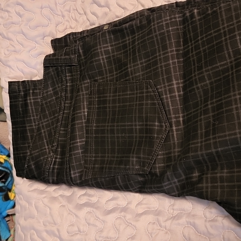 Torrid pants